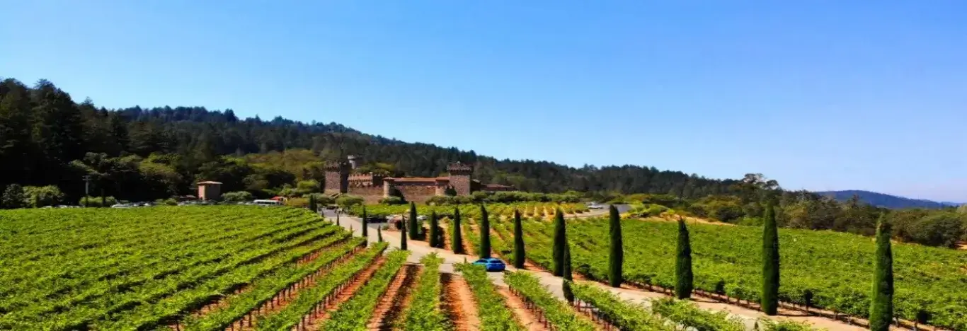 Castello-di-Amorosa-Napa-Valley-Castle-Winery