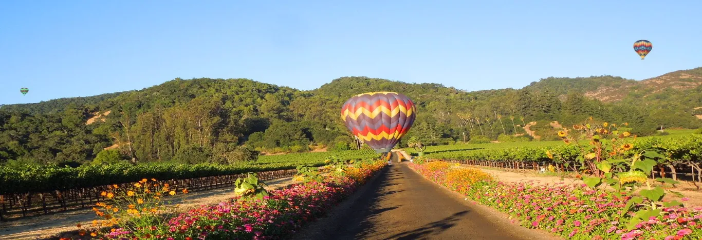 best-napa-valley-hot-air-balloon-ride-with-champagne+brunch
