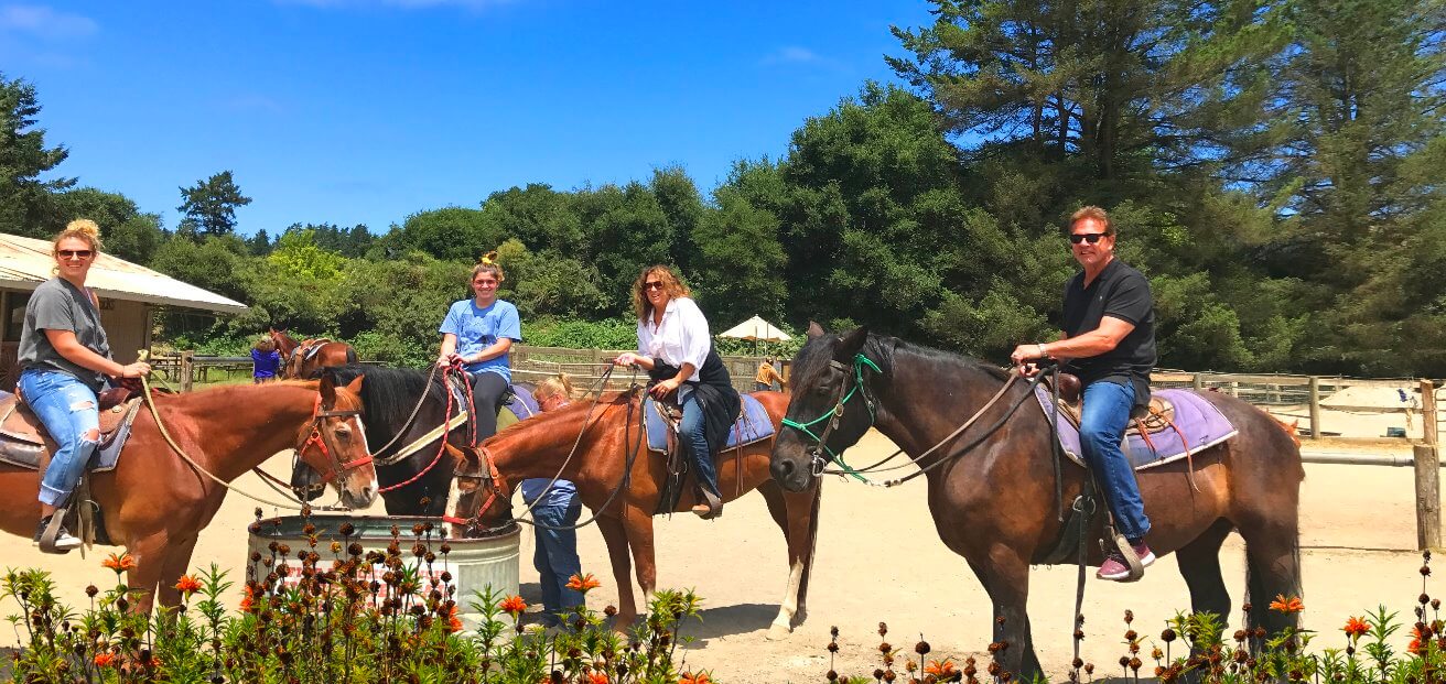 best_equestrian_tours_near_san_francisco_bay_area_tours