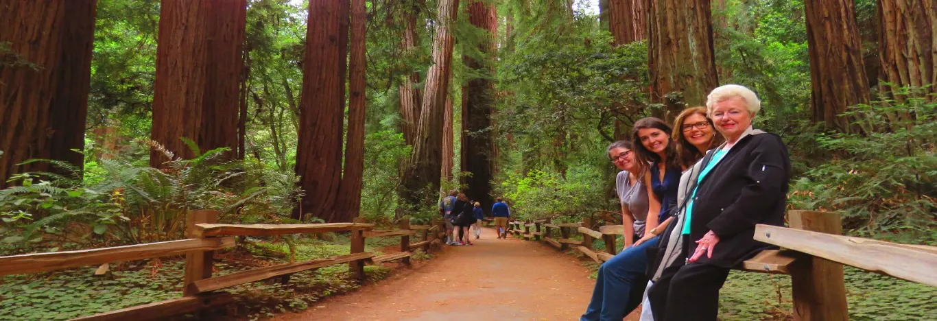 muir_woods_forest_of_giant_redwoods_hike_&_trails