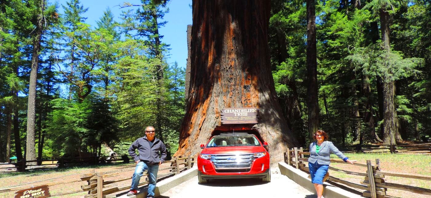 Avenue-of-the-Giants-Humboldt-County