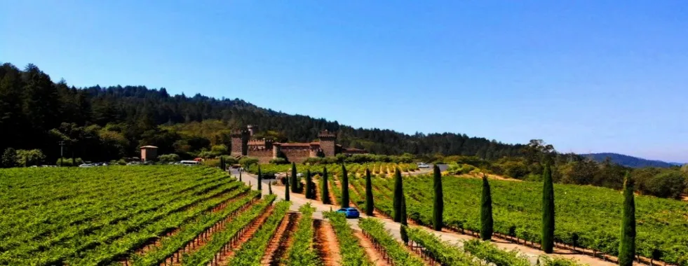 Castello-di-Amorosa-Napa-Valley-Castle-Winer-Tour-gallery