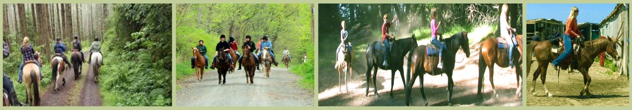 MEJORES-Visitas-guiadas-a-caballo-en-California-horse-back-rides