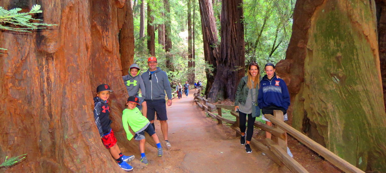 Muir-Woods-National-Monument-usa-National-Park-Service