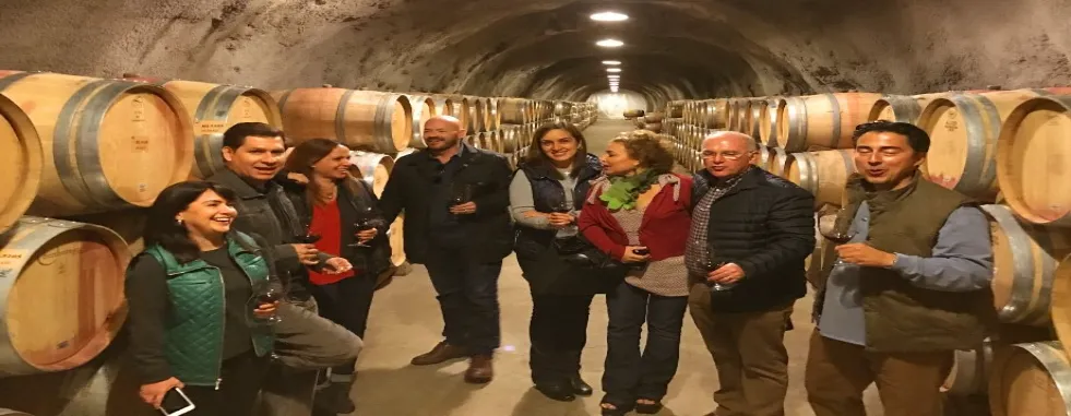 Napa-Tour-winery-cave-barrel-tasting-Wine-Country----gallery