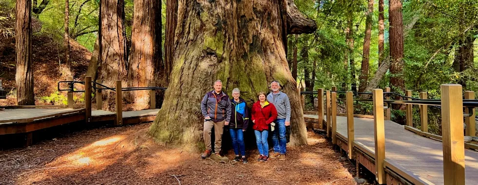 Redwood-Trees-in-Big-Sur-Sequoias-California-gallery