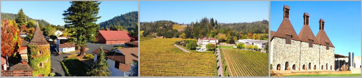 Russian-river-valley-wine-tasing-tours