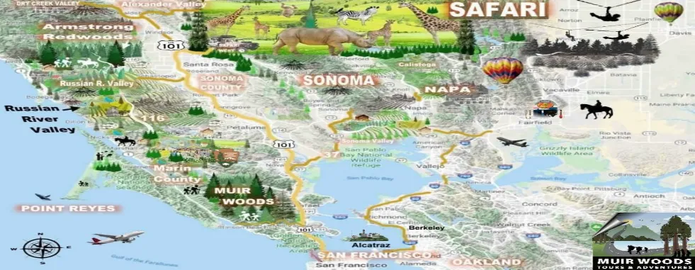 SF-maps-Safari-Sonoma-County-Map-Wine-Country-gallery