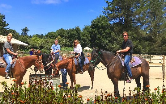 alcatraz_tours_and_horde_back_rides_near_san_francisco