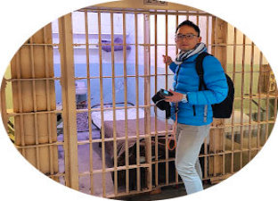 alcatraz tour wheelchair