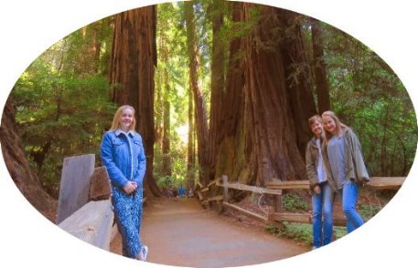 day-custom-tours-to-muir-woods-national-forst-of-giant-redwoods-and-sausalito1