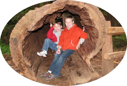 fun-family-tour-to-muir-woods-national-monument-and-sausalito-from-san-francisco