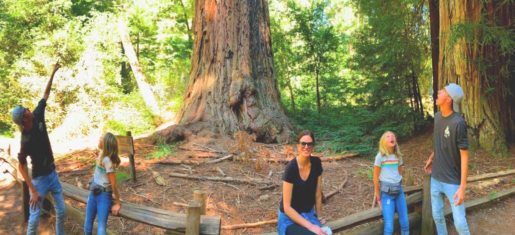 big-basin-redwoods-state-park-tours-sanfrancisco-san-jose.jpg
