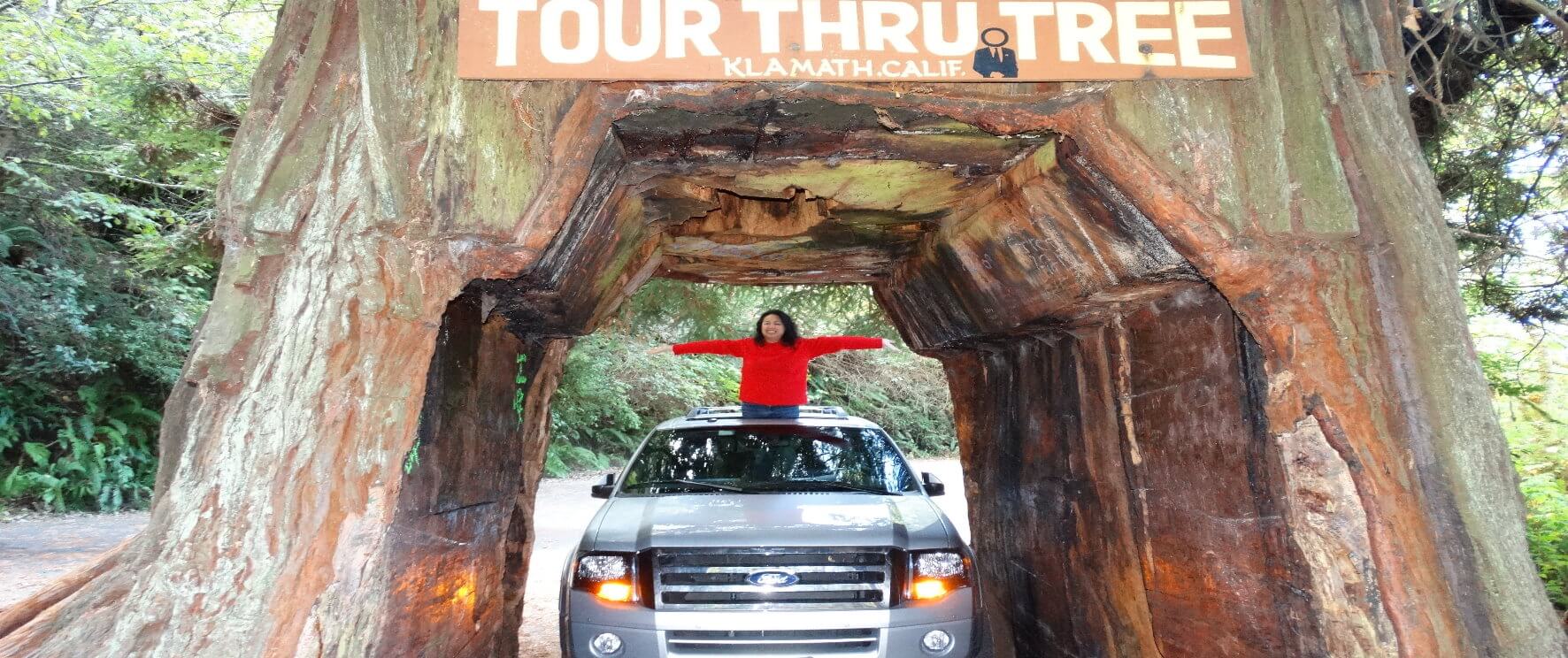 drive-through-tree-redwood-national-park