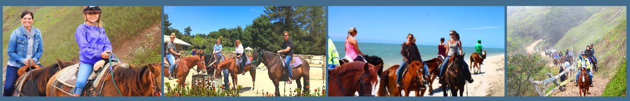 equestrian-adventures-by-the-sea-caballo-por-la-playa