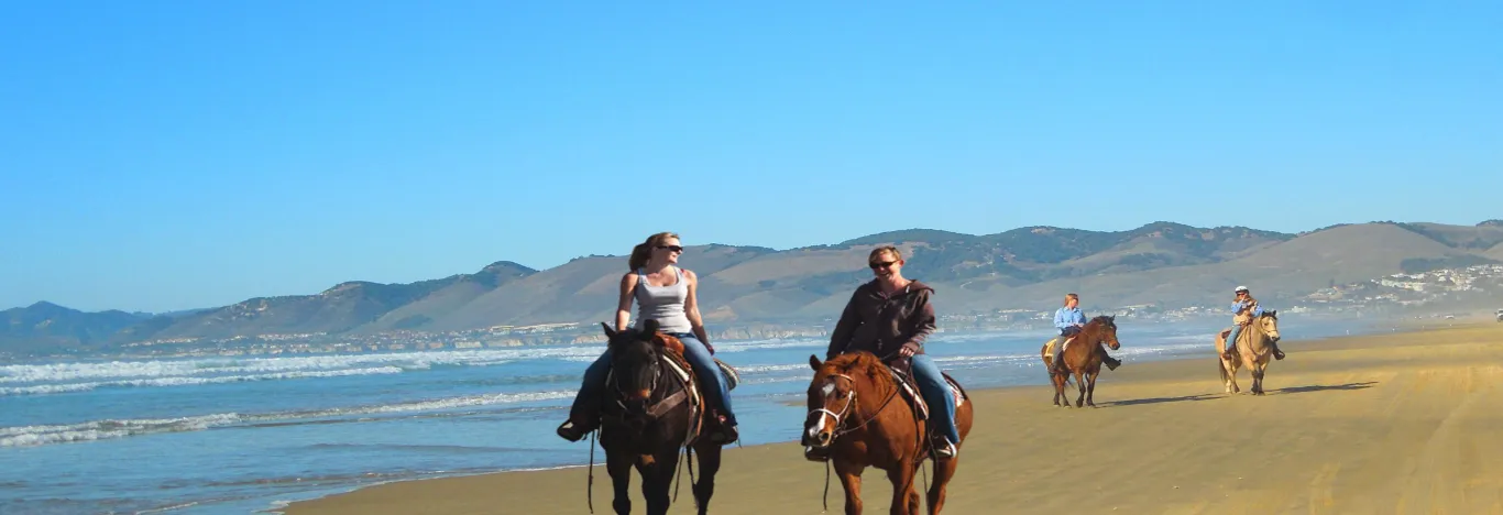 equitation-monter-a-cheval-dans-la_region-de-san-francisco-banner