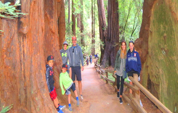 excursiones-a-muir-woods-Recorrido-Sausalito