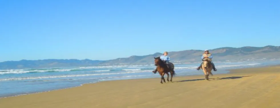 horseback_riding_tour_on_the_beach-gallery