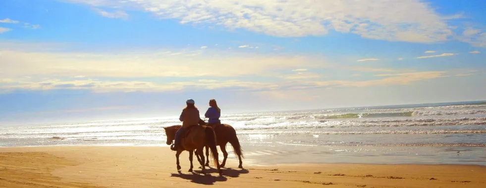 los-mejores-paseos-a-caballo-en-la-playa-y-lecciones-gallery