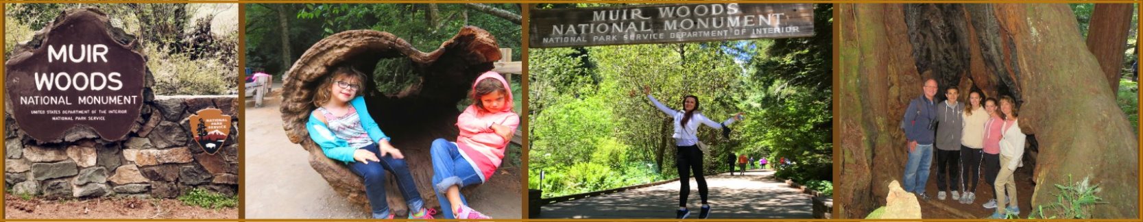 muir-woods-trail-walk-park-loop-redwood-forest-map