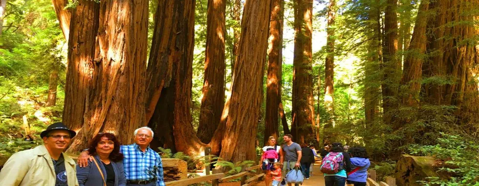 muir_woods_how_to_see_the_big_trees_near_san_francisco-gallery