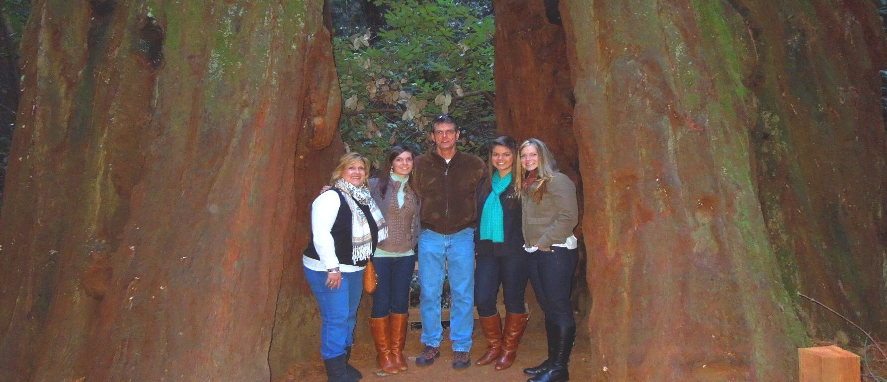 muir_woods_redwood_park_tours_from_san_francisco