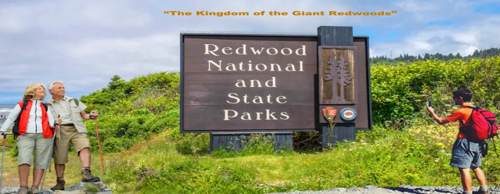 plan-your-visit-redwood-national-san-francisco-vacation-deals-gallery