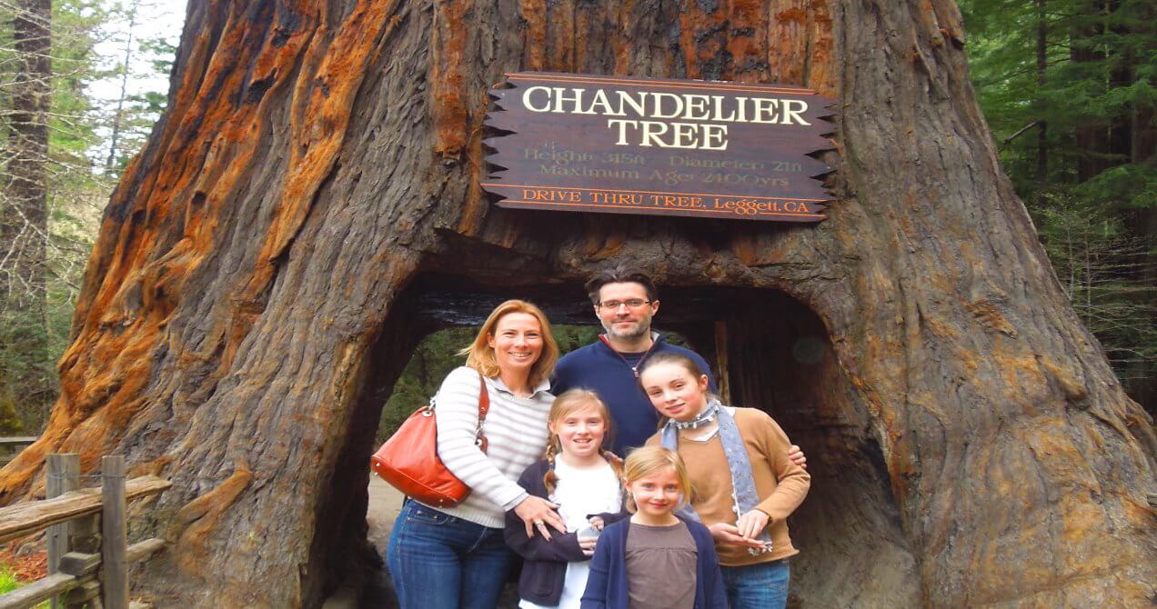 redwood-national-park-tours-avenue-of-the-giants