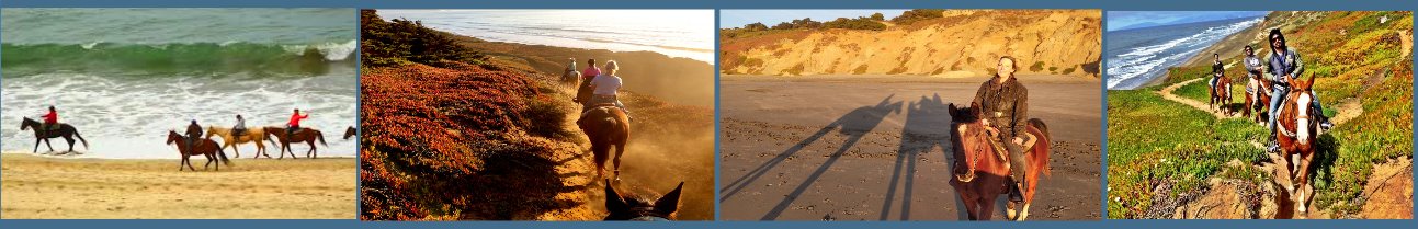 riding-horses-along-the-shoreline-sf