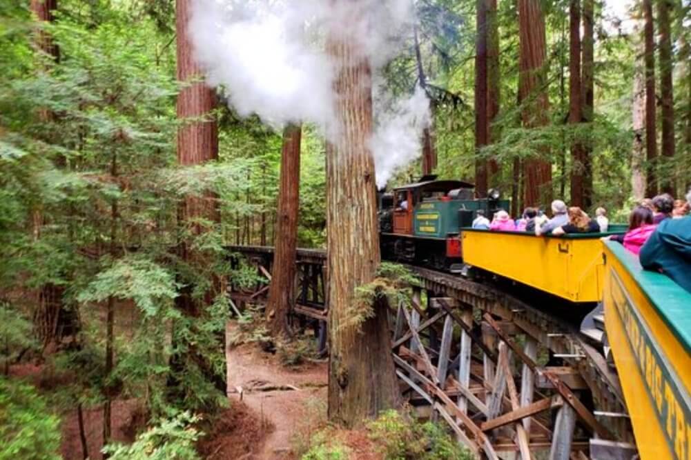 roaring_camp_railroads