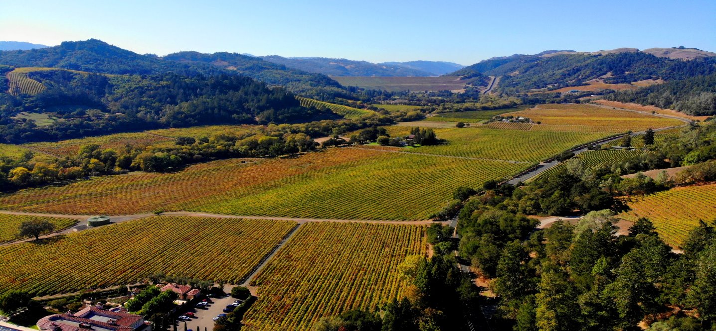 russian-river-valley-private-wine-tours-wineries_-vineyards-free-tasting