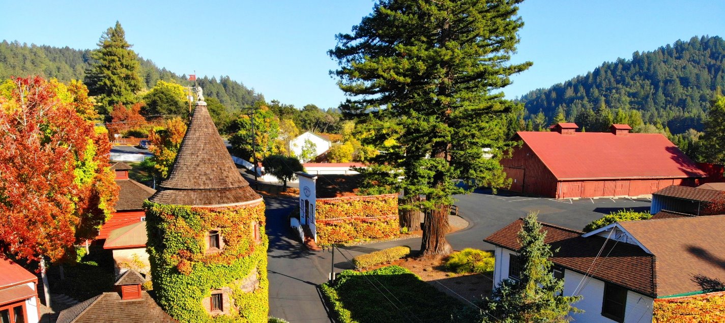russian-river-valley-wineries-tours-visit-armstrong-redwoods