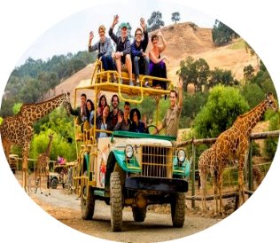 safari jeep adventure redwoods napa wine tours