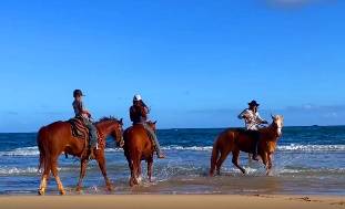 sea-side-horseback-ride