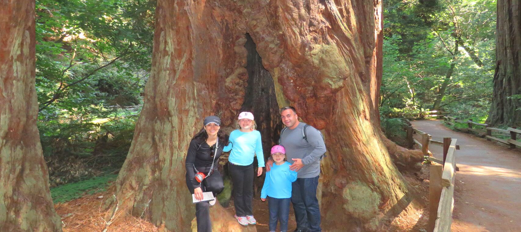 the__best_muir_woods_tours_&_tickets_reservation_day_trip