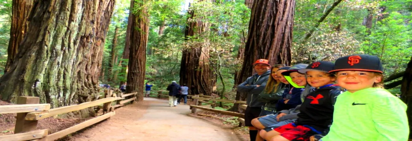 visit-Muir-Woods-park-redwoods-shuttle-private-tours-banner